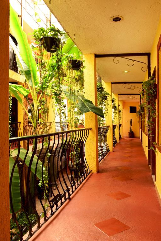 Unic Design & Restaurant- 5th Avenue (adults Only) Playa del Carmen